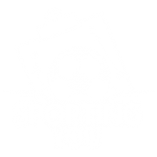 SportingYOU Logo